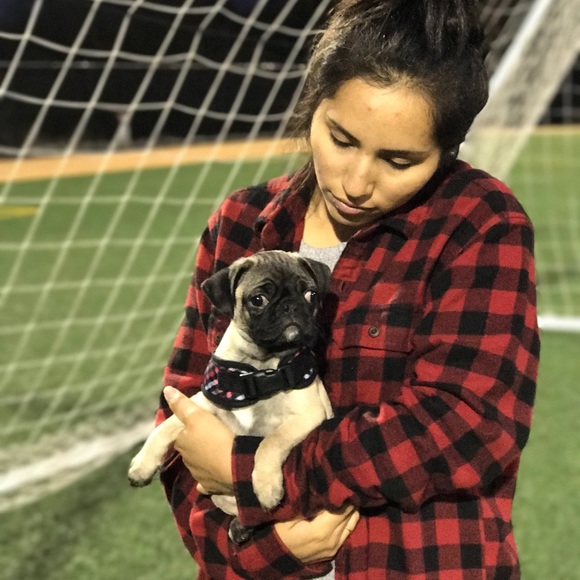 Meet your Posher, Mirella - Picture 1 of 1